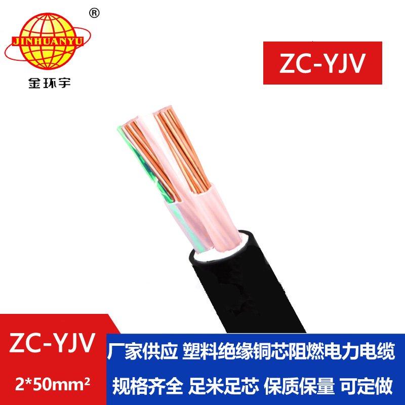 金環(huán)宇電線電纜 電力電纜yjv  ZC-YJV 2X50平方 阻燃